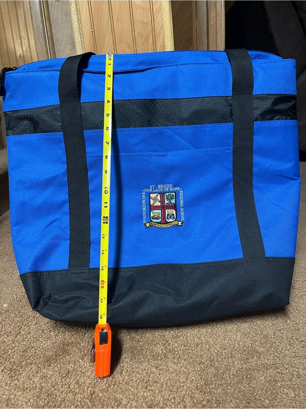 Blue and Black Insulated Tote Bag-NWOT